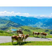 Auszeit am Großglockner - 9 Tage mit Frühstück Hotel Wasserfall in Salzburg inkl. Frühstück