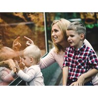 2 Tage Familienspaß: Entdecken Sie Natur und Tierwelten Hotel Phoenix in Pfinztal, Baden-Württemberg inkl. Frühstück