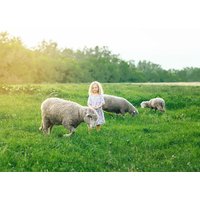 3 Tage Familienspaß: Entdecken Sie Natur und Tierwelten Hotel Phoenix in Pfinztal, Baden-Württemberg inkl. Frühstück
