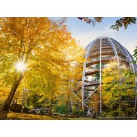 8 Tage Family-Familien Abenteuer im Bayerischen Wald Maier Pension & Chalets in Bayerisch Eisenstein, Bayern inkl. Frühstück