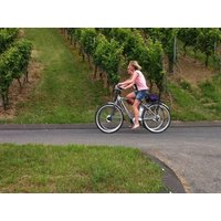 4 Tage Radeln im Maintal AKZENT Hotel am Bach in Dettelbach, Bayern inkl. Halbpension
