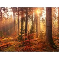 Auf den Traumschleifen – 5 Tage Hunsrück-Erlebnis Berghotel Kristall in Idar-Oberstein, Rheinland-Pfalz inkl. Frühstück