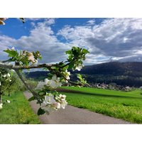 Hohenloher Land: 4 Tage Wellness & Landluft / mit HP Landhotel Krone in Kupferzell-Eschental, Baden-Württemberg inkl. Halbpension