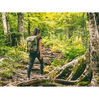 4 Tage Aktivurlaub im Bayrischen Wald WAGNERS Hotel Wastlsäge in Bischofsmais, Bayern inkl. Halbpension