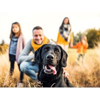 3 Tage Schwarzwaldidylle für Mensch und Hund inkl. HP Hotel Gasthof zum Rössle in Hüfingen OT Fürstenberg, Baden-Württemberg inkl. Halbpension
