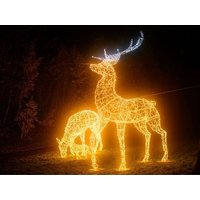 Adventsausflug mit Familie zum Winterzauber - 3 Tage Hotel am Sonnenlandpark in Lichtenau (Sachsen) inkl. Halbpension