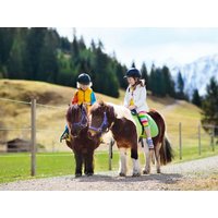 9 Tage Familienauszeit im Bayerischen Wald - 8 Nächte Familienhotel Runding, Bayern inkl. All Inclusive