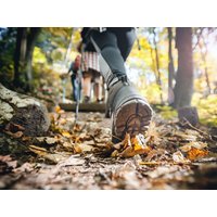 Kleine Auszeit im Thüringer Wald - 2 Tage WAGNERS Hotel im Thüringer Wald in Bad Tabarz, Thüringen inkl. Halbpension