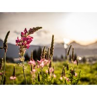 4 Tage Auszeit im wunderschönen Klosters-Serneus Silvretta Parkhotel, Graubünden inkl. Frühstück
