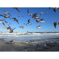 10 Tage Urlaub in Zingst an der Ostsee BSW-Ferienwohnungen Zingst-Ostsee, Mecklenburg-Vorpommern