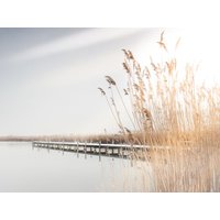 Erholung in Rust am Neusiedler See - 4 Tage Hotel Katamaran, Burgenland inkl. Frühstück
