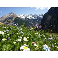 7 Tage Schweizer Alpen erleben Typically Swiss Hotel Altana, Scuol, Graubünden inkl. Frühstück