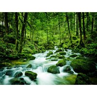 6 Tage Natur | Ruhe | Entspannung | Genussmomente  in  in Bonndorf im Schwarzwald, Baden-Württemberg inkl. Halbpension