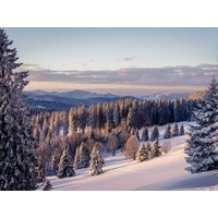 6 Tage Winterzauber im Schwarzwaldhof  in  in Bonndorf im Schwarzwald, Baden-Württemberg inkl. Halbpension