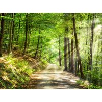 6 Tage Wohlfühl & Genussmomente  in  in Bonndorf im Schwarzwald, Baden-Württemberg inkl. Halbpension