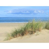4 Tage Nordsee & Den Haag genießen  in  in Scheveningen, Südholland (Zuid-Holland)