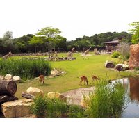 4 Tage Freizeitspaß im Leipziger Zoo für die Familie  in , Sachsen inkl. Frühstück