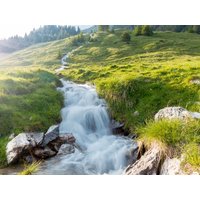 6 Tage ab ins Ferien Paradies  in  in Bonndorf im Schwarzwald, Baden-Württemberg inkl. Halbpension