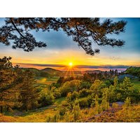 6 Tage Sommer Special "Barbecue & Cocktail" 4 Nächte  in  in Bonndorf im Schwarzwald, Baden-Württemberg inkl. Halbpension