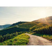 Biker-Spaß - 2 Tage mit dem Motorrad durchs Neckartal  in  in Neckarsulm, Baden-Württemberg inkl. Halbpension