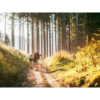 Hmm GeniesserDEAL I 8 Tage Wohlfühlzeit in Bayern  in  in Wemding inkl. Halbpension
