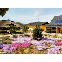 7 Tage Kulinarik & Entspannung Pur nahe Spreewald  in  in Neuhausen/Spree, Brandenburg inkl. Halbpension