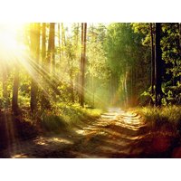 5 Tage Schwarzwald Wander-Special  in  in Bonndorf im Schwarzwald, Baden-Württemberg inkl. Halbpension