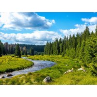 8 Tage Wutachschlucht Wanderwoche  in  in Bonndorf im Schwarzwald, Baden-Württemberg inkl. Halbpension