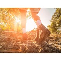 6 Tage Erholung im Schwarzwald"  in  in Bonndorf im Schwarzwald, Baden-Württemberg inkl. Halbpension