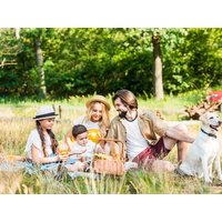 Familienzeit am Schloss inkl. Bellamar - 3Tage  in  in Schwetzingen, Baden-Württemberg inkl. Frühstück