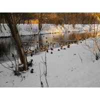 5 Tage Winter Schnäppchen im Spreewald  in  in Kolkwitz, Brandenburg inkl. Halbpension Plus