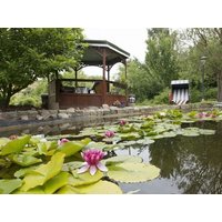 5 Tage im Pension Deichgraf mit Frühstück Pension Deichgraf in Middelhagen, Mecklenburg-Vorpommern inkl. Frühstück