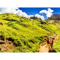 6 Tage Urlaub im wunderschönen Südtirol Hotel Elefant in Auer - Ora, Trentino-Südtirol inkl. Halbpension