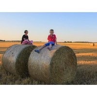 2 Tage nahe der Hansestadt Rostock mit Frühstück Land-gut-Hotel Hermann in Bentwisch, Mecklenburg-Vorpommern inkl. Frühstück